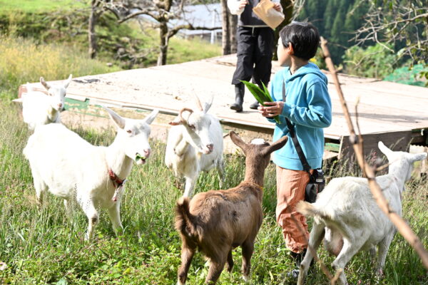 癒しの森から可愛いヤギさんがお出迎え～「小菅沼・ヤギの杜」～　自然の学校で育む子供たちの探求心と発想力　四季折々の体験メニューで余暇を満喫