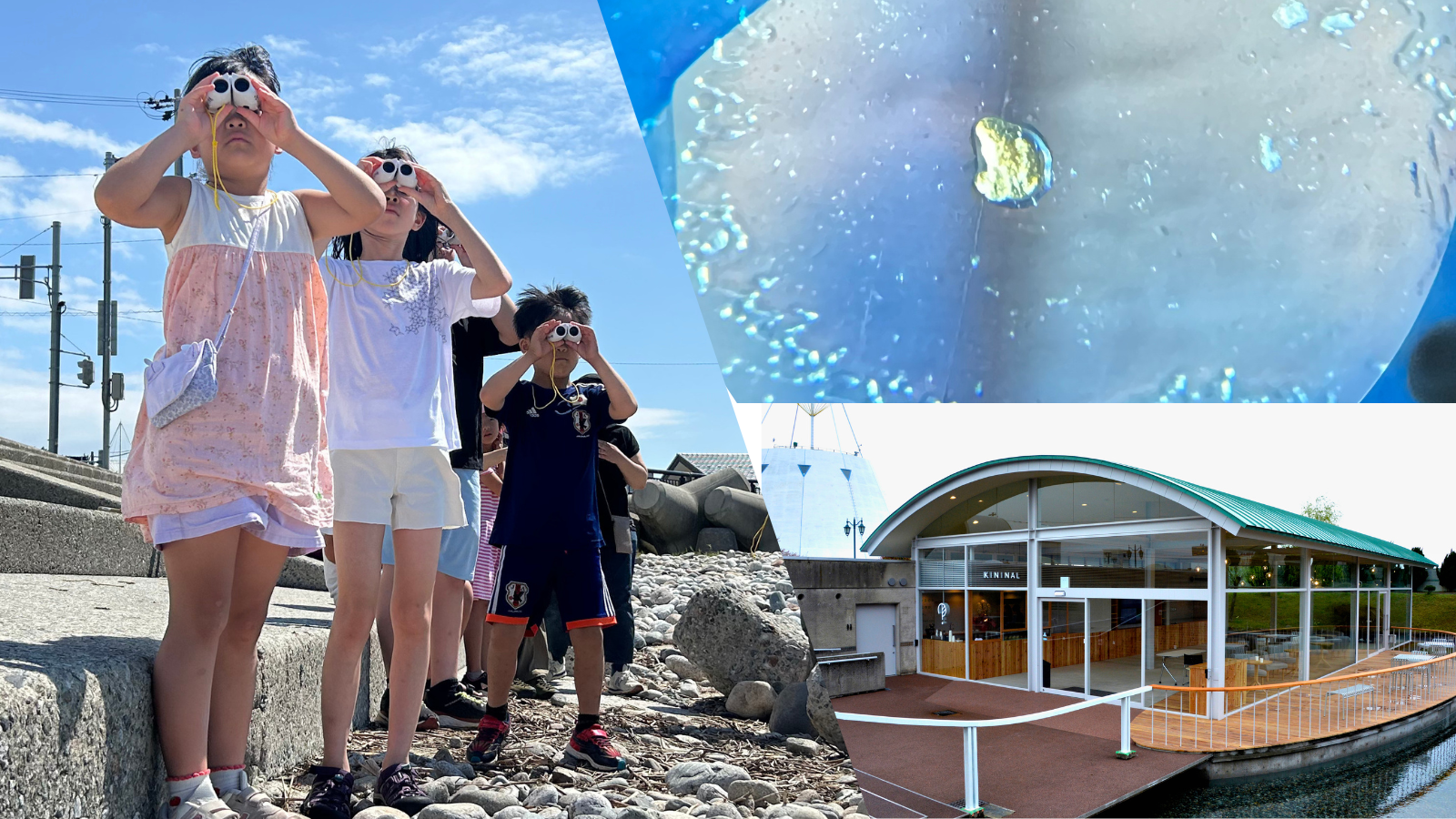 魚津埋没林博物館の2026年7月からのイベントまとめをイメージした画像
