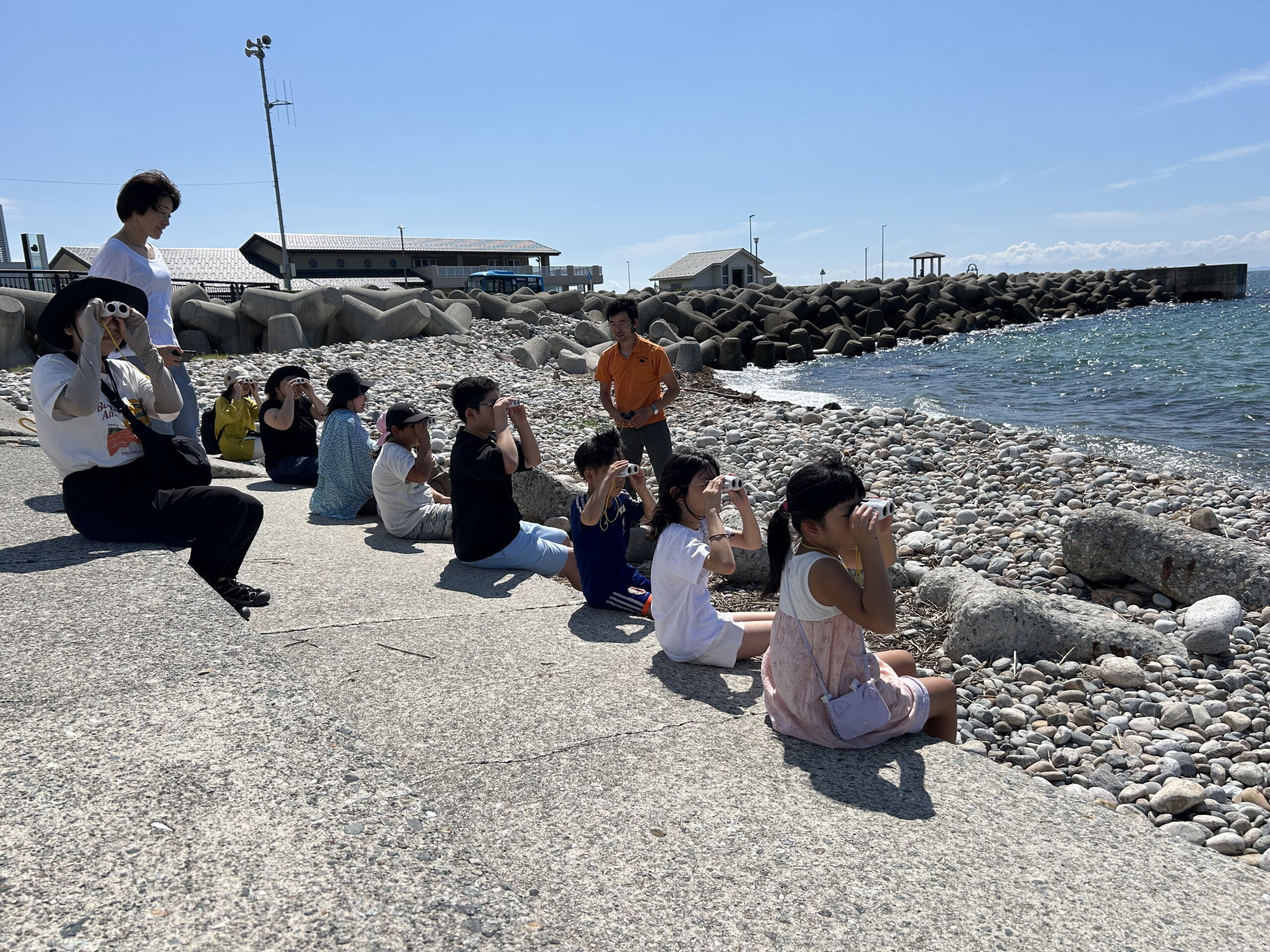 夏休み自由研究のイメージ