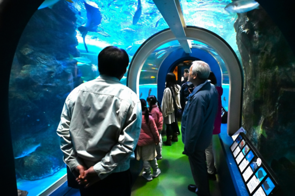 【うおすい速報⑦】魚津水族館、年パス所持者限定イベント「放課後アクアリウム」を6月13日開催。毎月第2土曜日の定期開催も予定